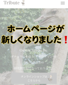 公式ホームページが新しくなりました